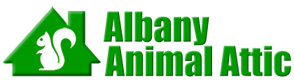 Albany Animal Attic
